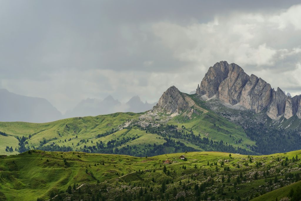 daniel-mirlea-tYyqvERv5AA-unsplash