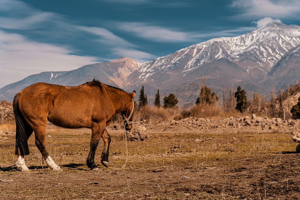 rafael-hoyos-weht-sylXIEYM4-I-unsplash